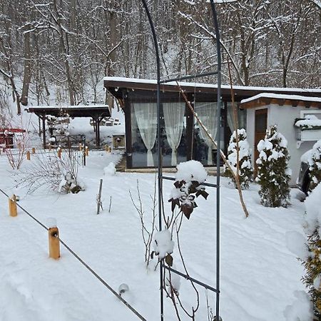 Pensiunea Lui Calin Ocnele Mari Dış mekan fotoğraf