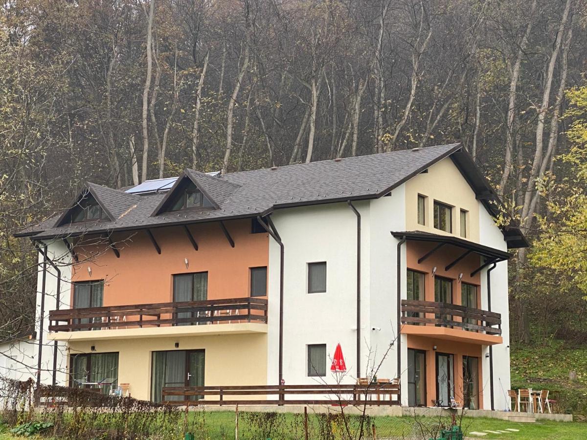 Pensiunea Lui Calin Ocnele Mari Dış mekan fotoğraf